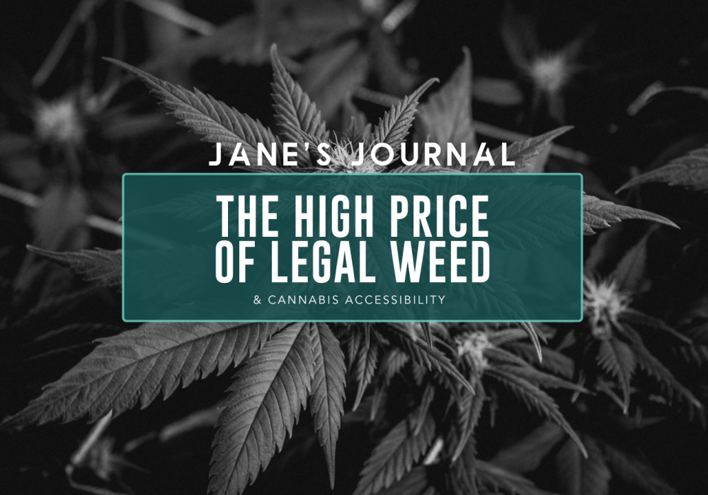 A black and white image of a cannabis plant.