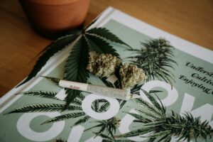 cannabis flower and pre roll sitting on a cannabis education magazine