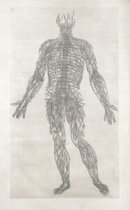 Visual of human nervous system